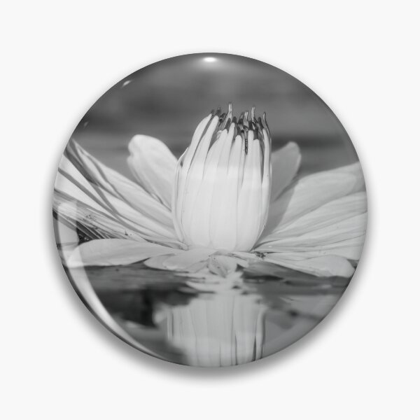 Item preview, Water Lily BW Botswana Africa designed and sold by PhotoArt by Joan Carroll.