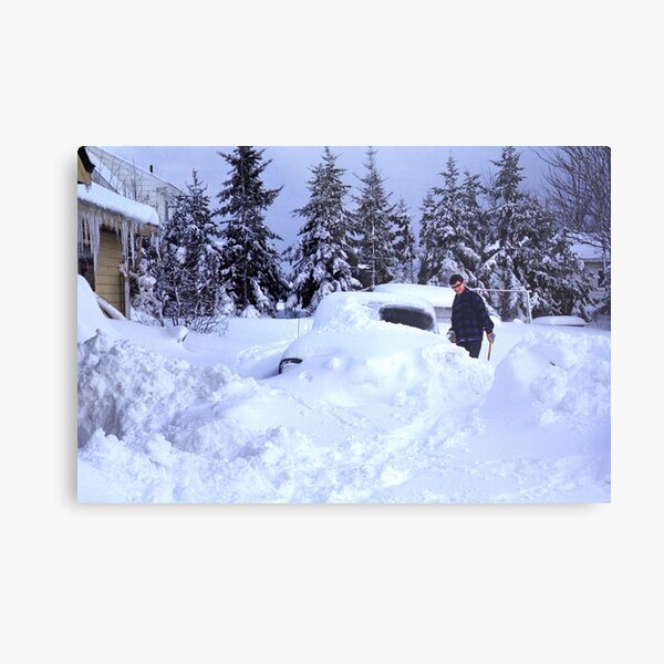 Metal Print