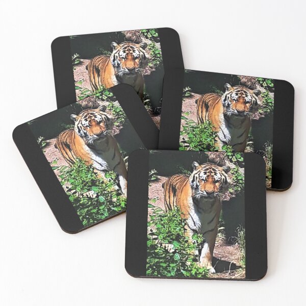 Item preview, Tiger Stare designed and sold by craftsbydaphy.