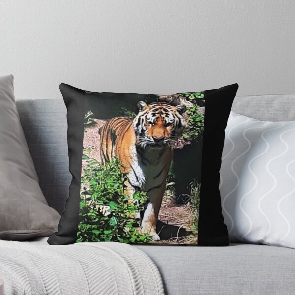Item preview, Tiger Stare designed and sold by craftsbydaphy.