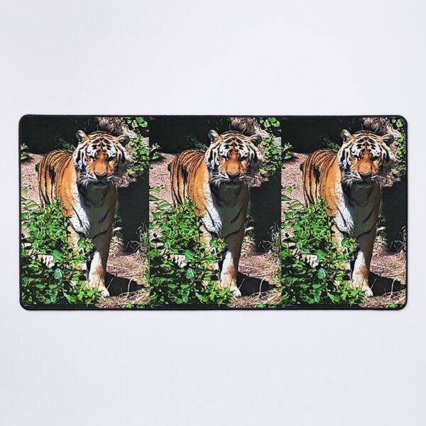 Item preview, Tiger Stare designed and sold by craftsbydaphy.