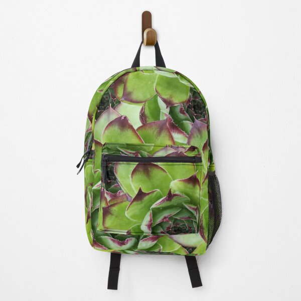 Item preview, The beautiful succulent, Hens and Chicks designed and sold by 5849.
