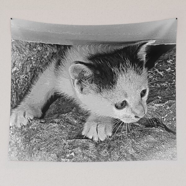 Item preview, Is it safe?   Little kitty designed and sold by MarionsArt.