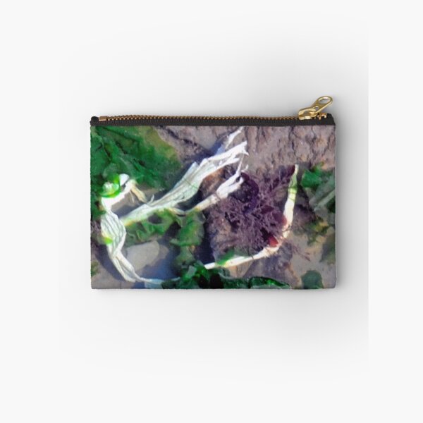 Item preview, Rock Pool ID Please.......... designed and sold by lynn carter.