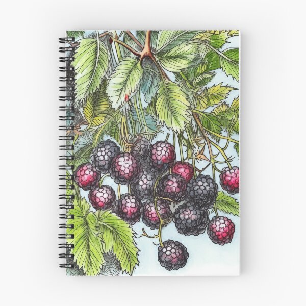 Item preview, Blackberry drawing designed and sold by ComicsFactory.