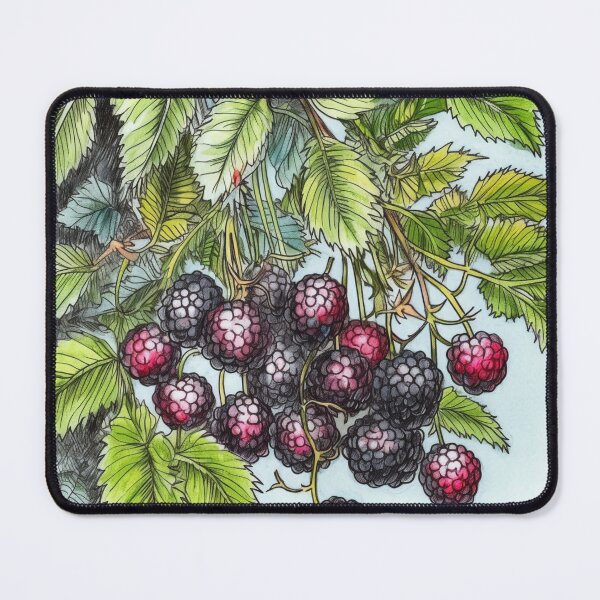 Item preview, Blackberry drawing designed and sold by ComicsFactory.