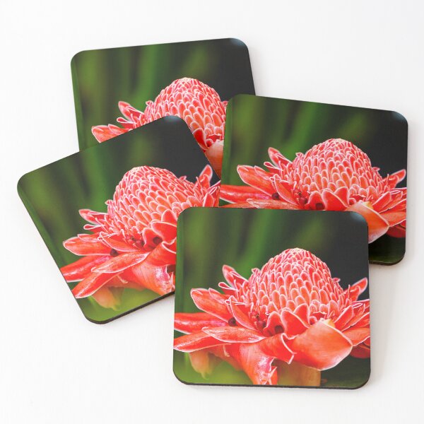 Item preview, Torch Ginger designed and sold by Julie Navitka.
