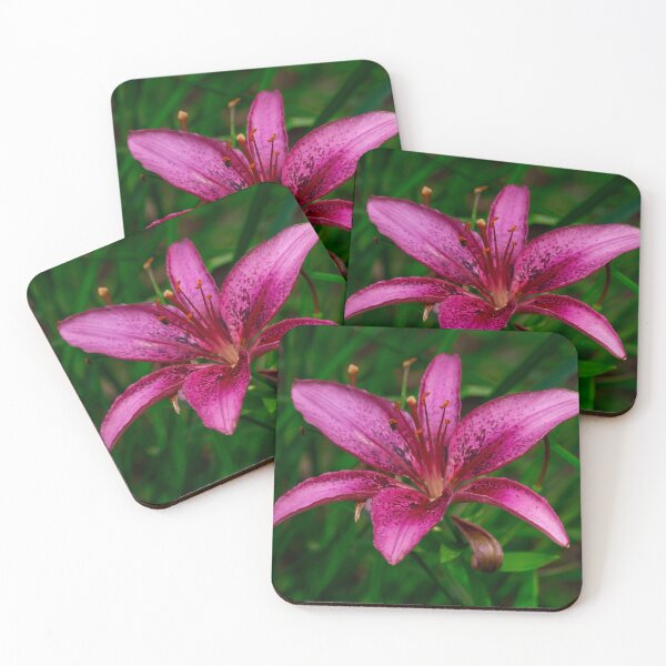 Item preview, Daylily designed and sold by TinyDinoDesigns.