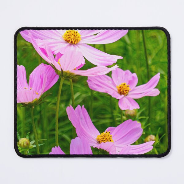Item preview, Colorful Cosmos designed and sold by Julie Navitka.