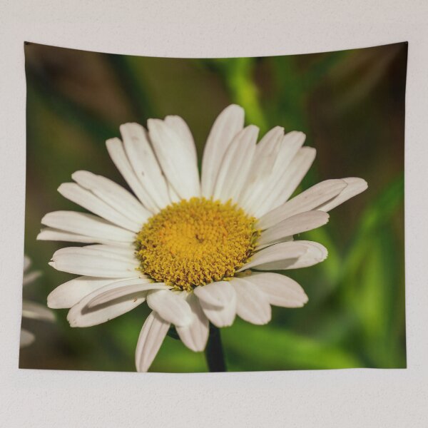 Item preview, White Daisy designed and sold by TinyDinoDesigns.