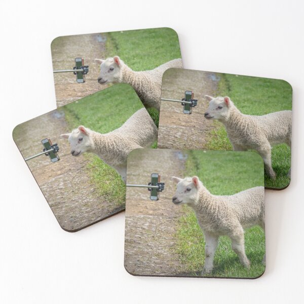 Item preview, Selfie stick with phone taking photo of lamb designed and sold by bailey-cooper.