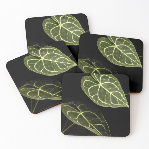 Item preview, Anthurium Clarinervium Velvet Cardboard Dark Photography designed and sold by plantsbutbetter.
