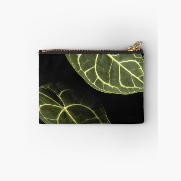 Item preview, Anthurium Clarinervium Velvet Cardboard Dark Photography designed and sold by plantsbutbetter.