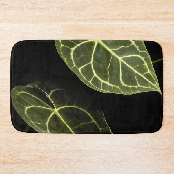 Item preview, Anthurium Clarinervium Velvet Cardboard Dark Photography designed and sold by plantsbutbetter.