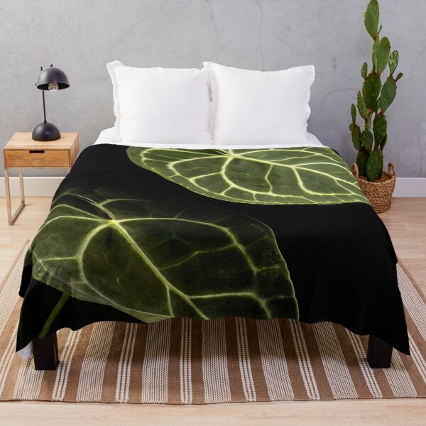 Item preview, Anthurium Clarinervium Velvet Cardboard Dark Photography designed and sold by plantsbutbetter.