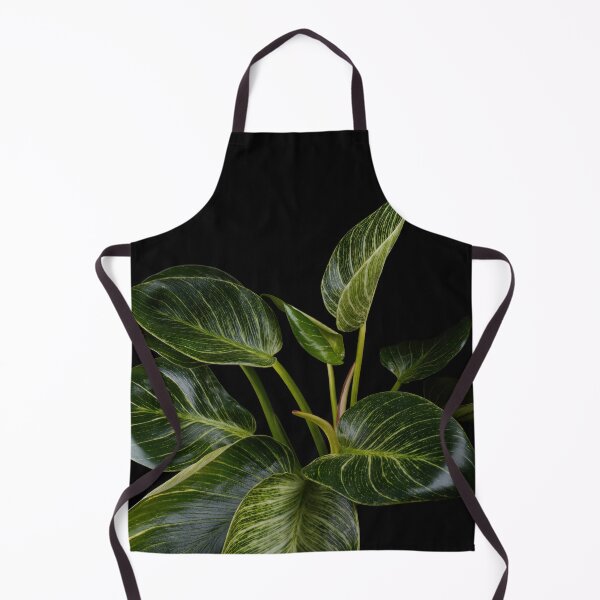 Item preview, Philodendron White Wave Birkin designed and sold by plantsbutbetter.
