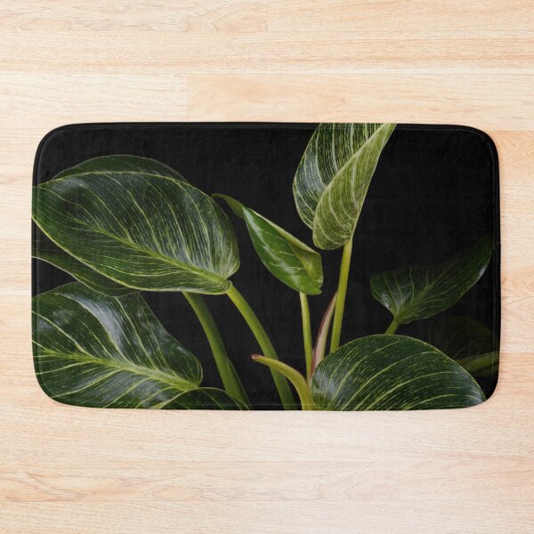 Item preview, Philodendron White Wave Birkin designed and sold by plantsbutbetter.