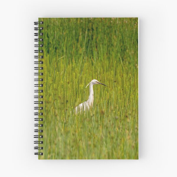 Item preview, Lone Little Egret in a reedbed designed and sold by bailey-cooper.