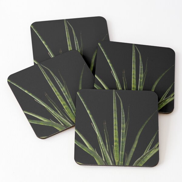 Item preview, Sansevieria Snakeplant Fernwood Dark Photography designed and sold by plantsbutbetter.