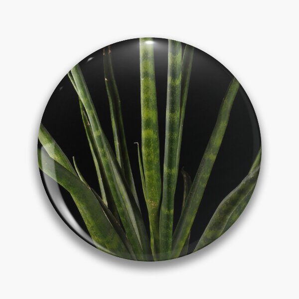 Item preview, Sansevieria Snakeplant Fernwood Dark Photography designed and sold by plantsbutbetter.