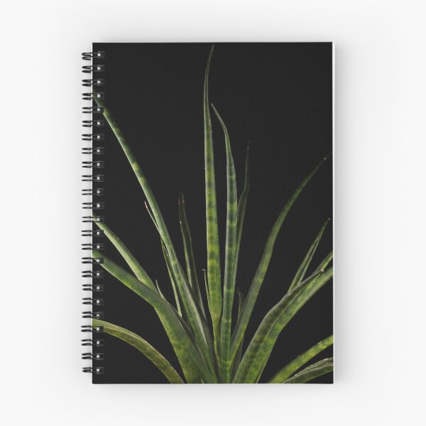 Item preview, Sansevieria Snakeplant Fernwood Dark Photography designed and sold by plantsbutbetter.