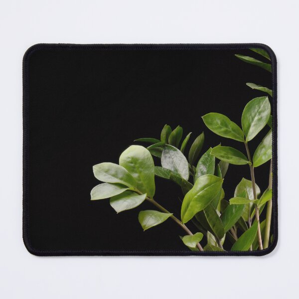 Item preview, ZZ Plant (Zamioculcas Zamiifolia) designed and sold by plantsbutbetter.