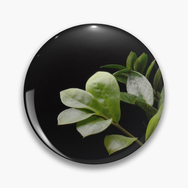 Item preview, ZZ Plant (Zamioculcas Zamiifolia) designed and sold by plantsbutbetter.