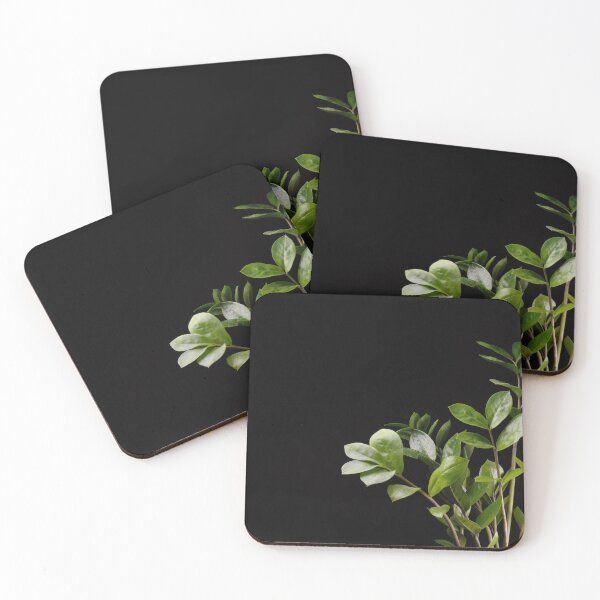 Item preview, ZZ Plant (Zamioculcas Zamiifolia) designed and sold by plantsbutbetter.