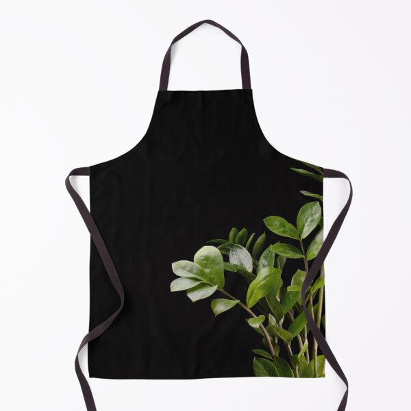 Item preview, ZZ Plant (Zamioculcas Zamiifolia) designed and sold by plantsbutbetter.