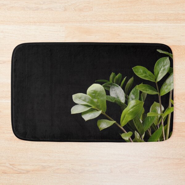 Item preview, ZZ Plant (Zamioculcas Zamiifolia) designed and sold by plantsbutbetter.