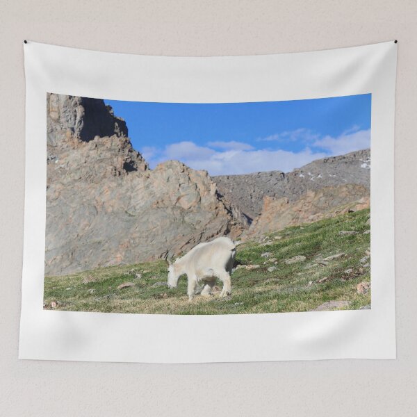 Item preview, Mountain goat walking by me designed and sold by zumi.