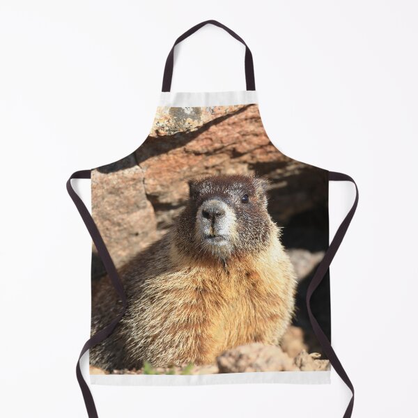 Item preview, Marmot at its den designed and sold by zumi.
