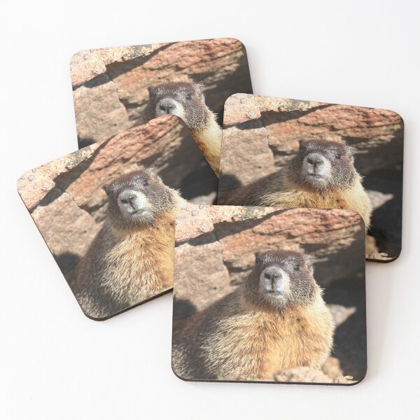Item preview, Marmot at its den designed and sold by zumi.