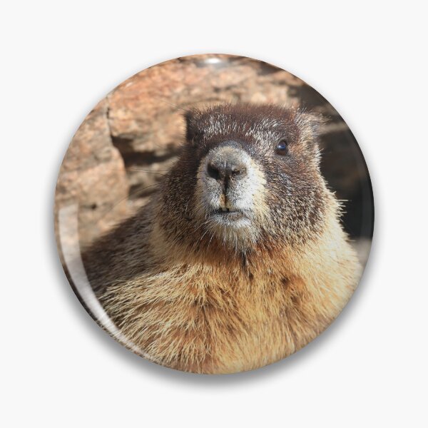 Item preview, Marmot at its den designed and sold by zumi.