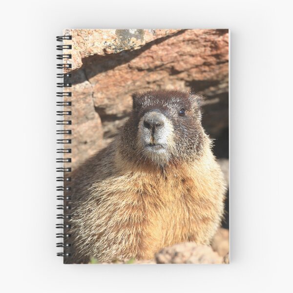 Item preview, Marmot at its den designed and sold by zumi.