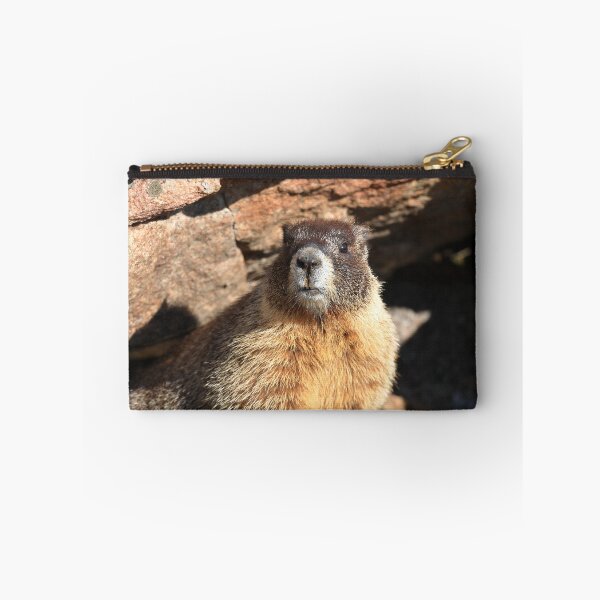 Item preview, Marmot at its den designed and sold by zumi.