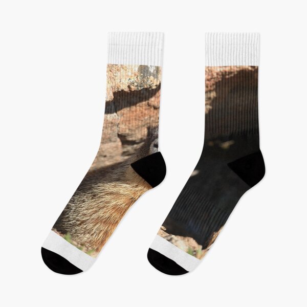 Item preview, Marmot at its den designed and sold by zumi.