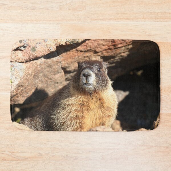 Item preview, Marmot at its den designed and sold by zumi.