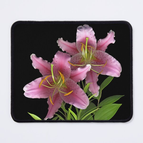Item preview, Stargazer Lily designed and sold by Lisa  Davis.