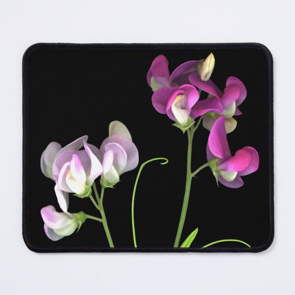 Item preview, Sweet Pea designed and sold by Lisa  Davis.