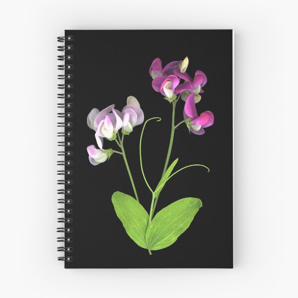 Item preview, Sweet Pea designed and sold by Lisa  Davis.