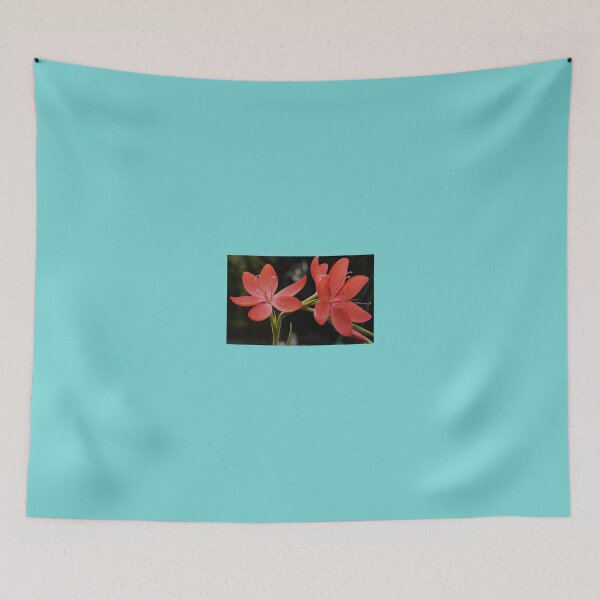 Item preview, Kaffir Lily designed and sold by jalfc46.