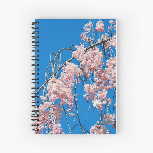 Aperçu de l'œuvre Fleurs de cerisier créée et vendue par Tessia Photography.