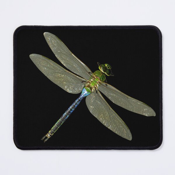 Item preview, Dragonfly Trio designed and sold by Lisa  Davis.