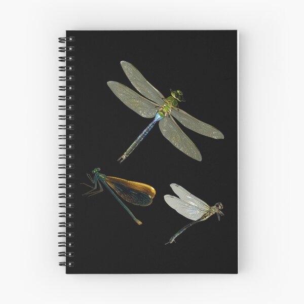 Item preview, Dragonfly Trio designed and sold by Lisa  Davis.