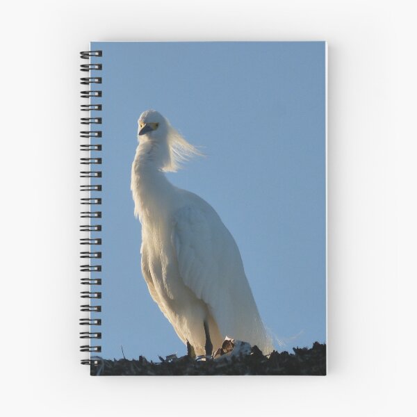 Item preview, windy today II designed and sold by Bernhard Matejka.