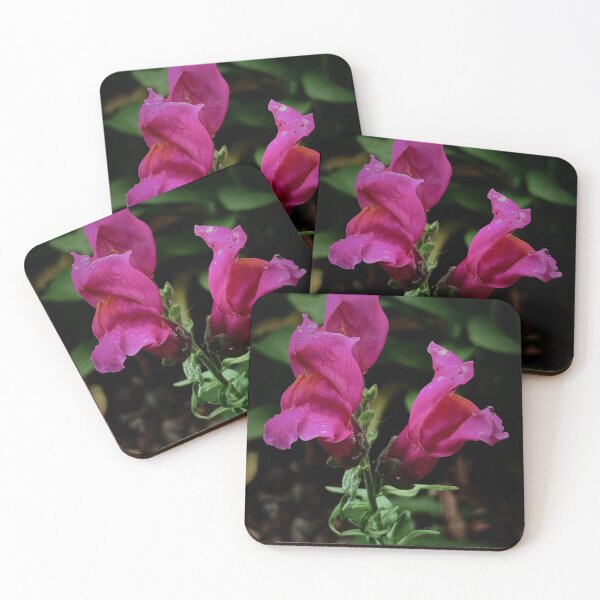 Item preview, Snapdragons  designed and sold by StephensTattoo.