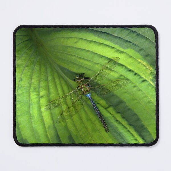 Item preview, Dragonfly on Hosta Leaf designed and sold by Lisa  Davis.
