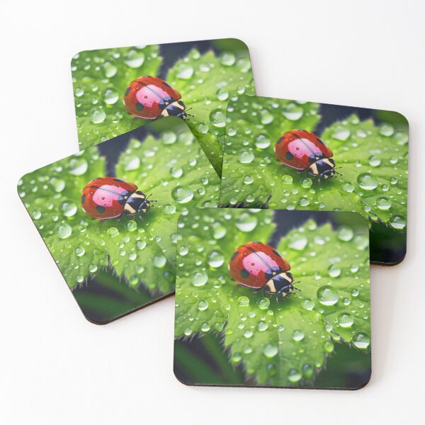 Item preview, Ladybug on a leaf with morning dew designed and sold by CoolCarVideos.