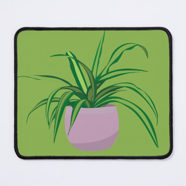 Item preview, Spider Plant designed and sold by sierraford.